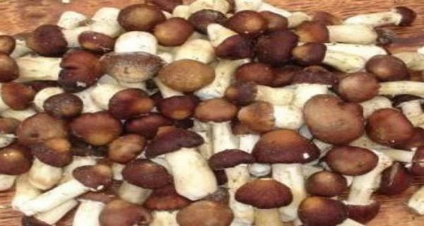 图片6.jpg 图片6.jpg