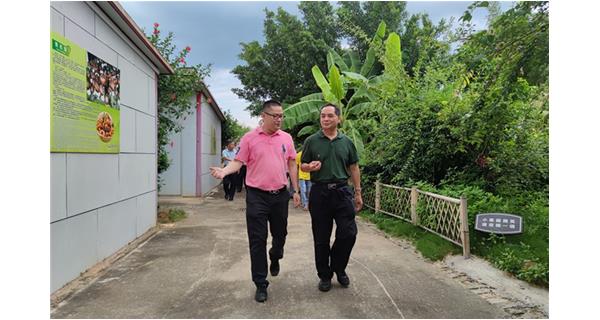 自治区农业农村厅一级巡视员梁雄率调研督导组到公司食用菌基地考察，开展2021年上半年强一产促增长专题调研