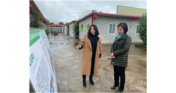 梧州市副市长苏颖到上品荟食用菌基地调研