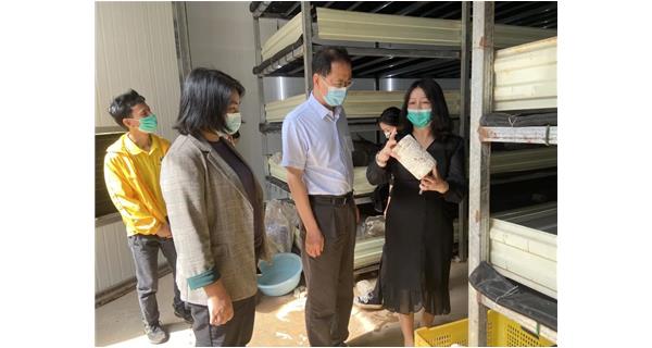 2022年5月18日上午，梧州市委常委、组织部部长文东福在万秀区委常委、组织部部长蒋秋艳的陪同下来到公司食用菌基地调研，了解乡村振兴示范点建设工作。